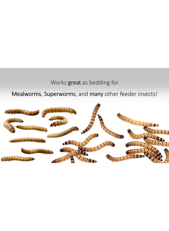 3 lb. Wheat Bran Bedding/Gutload for Mealworms and Superworms by Five-Star Feeders, 48 Ounces - Image 5