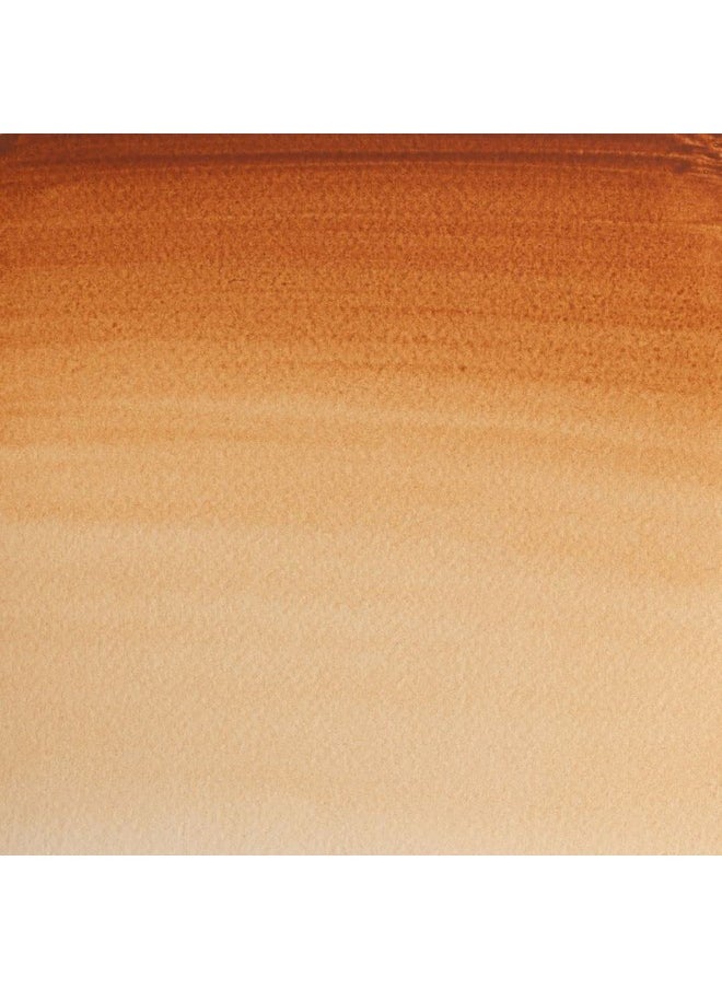 WINSOR & NEWTON Professional Water Colour 14 Ml - Brown Ochre (059) - Finely Pigmented, Vibrant, Vivid & Intermixable Artists' Water Colour Paints - More Colours Available  - Image 2