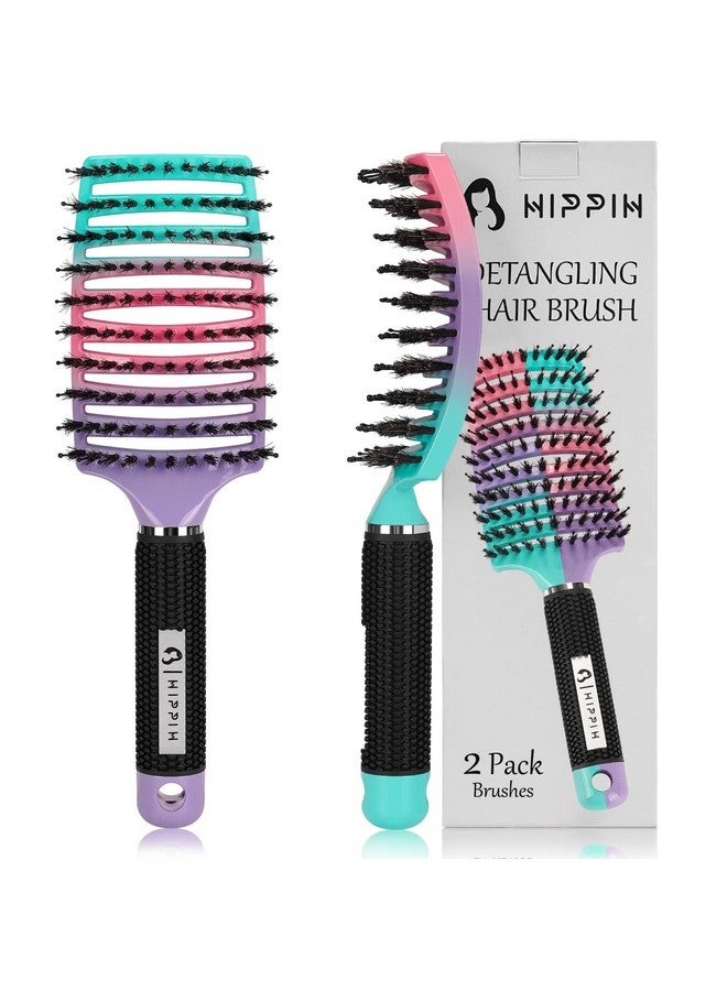 HIPPIH Detangling Brush 2 Pack Hippih Detangler Hair Brush For Adult & Kids’ Wet Or Dry Hair Boar Bristle Hair Brush Getting Knots Out Without Pain Adds Shine And Makes Hair Smooth Purple - Image 1