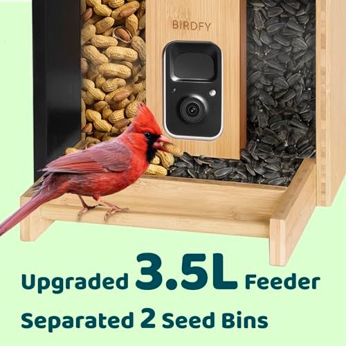 NETVUE by Birdfy Smart Bird Feeder with Camera Solar Powered, Permanent AI Identify 6000+ Bird Species & Motion Detection, Renewable Upgraded Bamboo Wood, Ideal Gift - Image 5