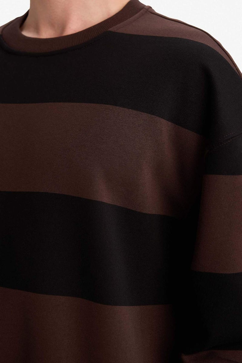 DeFacto Boxy Fit Crew Neck Striped Sweatshirt - Image 3