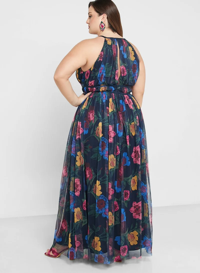 Anaya with Love Curve Printed Halter Neck Dress