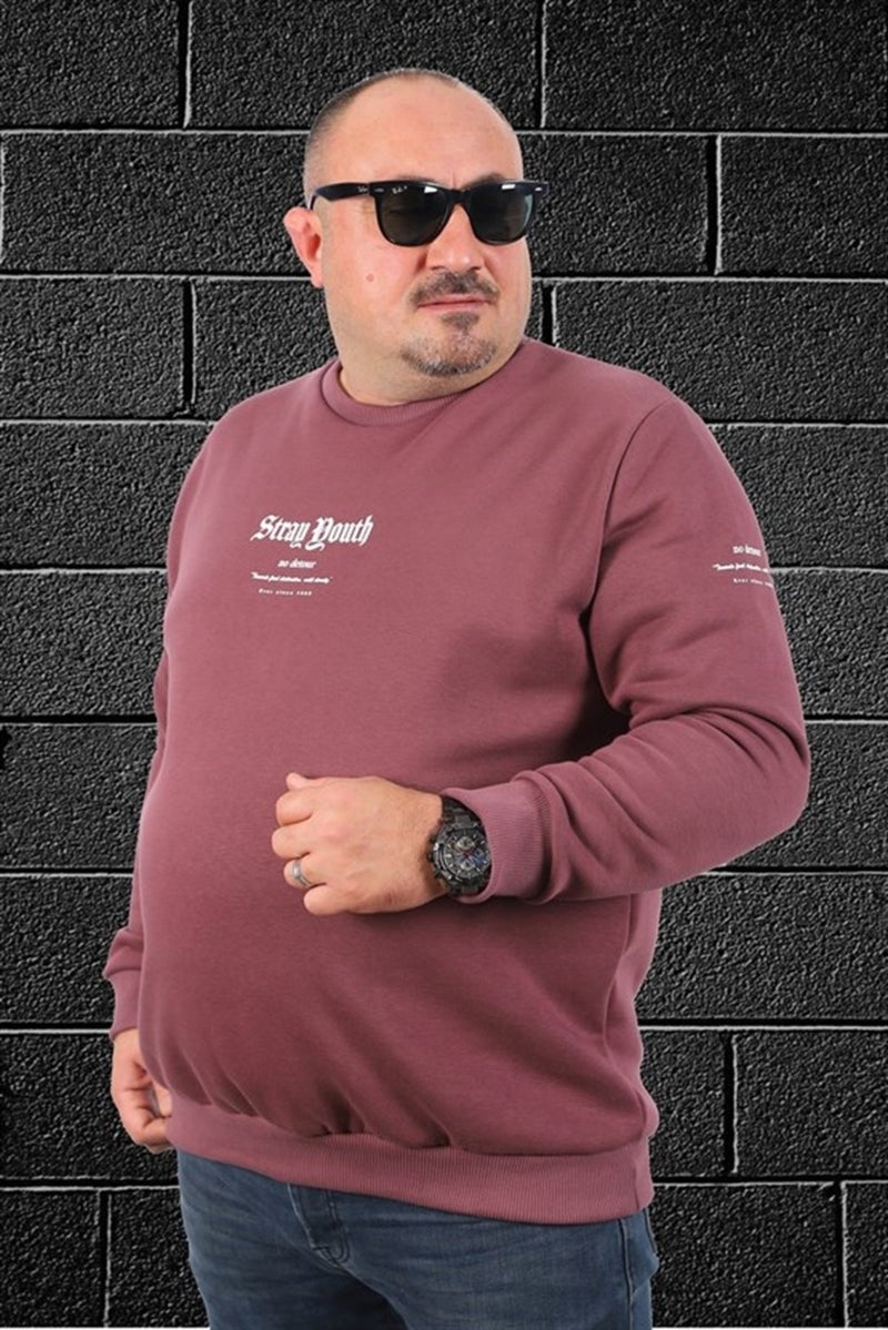 Starbattal Men's Sweat Stray South 22730 Lilac - Image 1