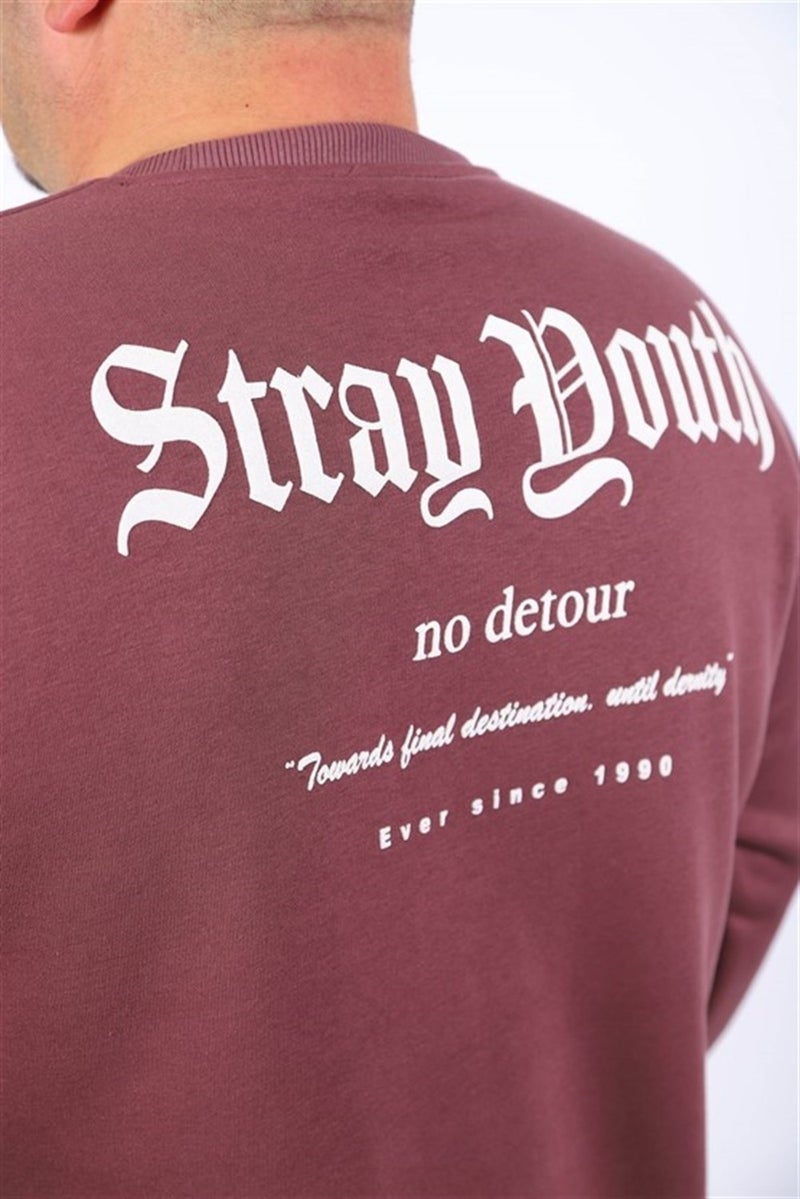 Starbattal Men's Sweat Stray South 22730 Lilac - Image 2