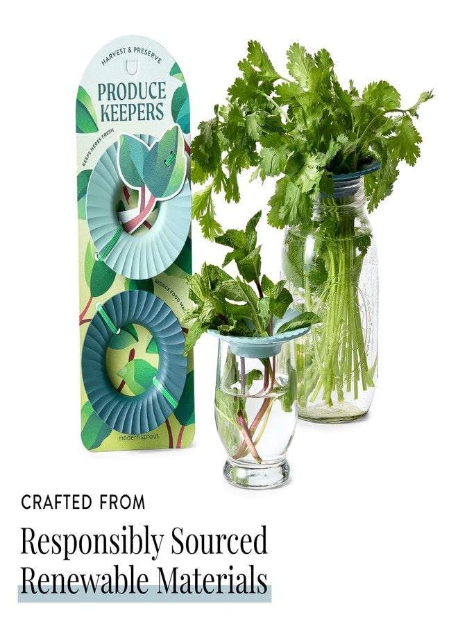 Modern Sprout حافظة مودرن سبراوت لحفظ الأعشاب والخضراوات الطازجة - صديقة للبيئة، خالية من مادة BPA، مصنوعة من مواد مستدامة - تحافظ على نضارة الخضراوات لمدة تصل إلى أسبوعين - هدية مثالية لمحبي النباتات والطهاة المنزليين - عبوة من قطعتين - Image 2