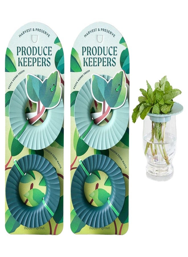 Modern Sprout حافظة مودرن سبراوت لحفظ الأعشاب والخضراوات الطازجة - صديقة للبيئة، خالية من مادة BPA، مصنوعة من مواد مستدامة - تحافظ على نضارة الخضراوات لمدة تصل إلى أسبوعين - هدية مثالية لمحبي النباتات والطهاة المنزليين - عبوة من قطعتين - Image 1