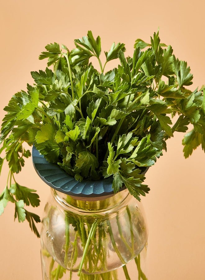 Modern Sprout حافظة مودرن سبراوت لحفظ الأعشاب والخضراوات الطازجة - صديقة للبيئة، خالية من مادة BPA، مصنوعة من مواد مستدامة - تحافظ على نضارة الخضراوات لمدة تصل إلى أسبوعين - هدية مثالية لمحبي النباتات والطهاة المنزليين - عبوة من قطعتين - Image 5