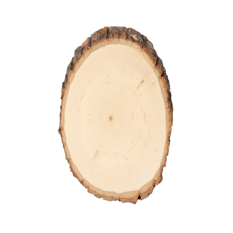 Walnut Hollow Walnut Hollow Basswood Round Small 57 wide with Live Edge Wood Pack of 1  For Wood Burning Home Dcor and Rustic Weddings 