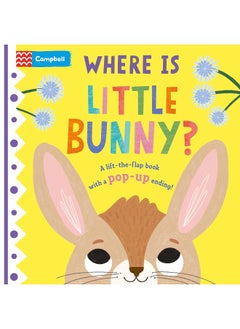 Where is Little Bunny?: The lift-the-flap book with a pop-up ending!  - Image 1