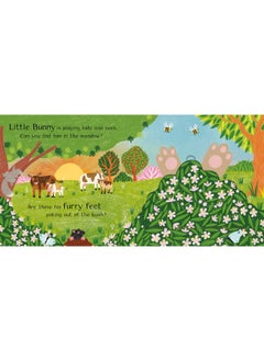 Where is Little Bunny?: The lift-the-flap book with a pop-up ending!  - Image 2