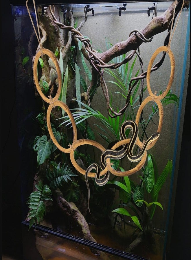 SnowTing Snake Enrichment Rings for Ball Python, Plastic Imitation Wood Playground Enrichment Climbing Toys for Corn Snakes, 6 Rings, 4 Inch Inner Diameter - Image 5