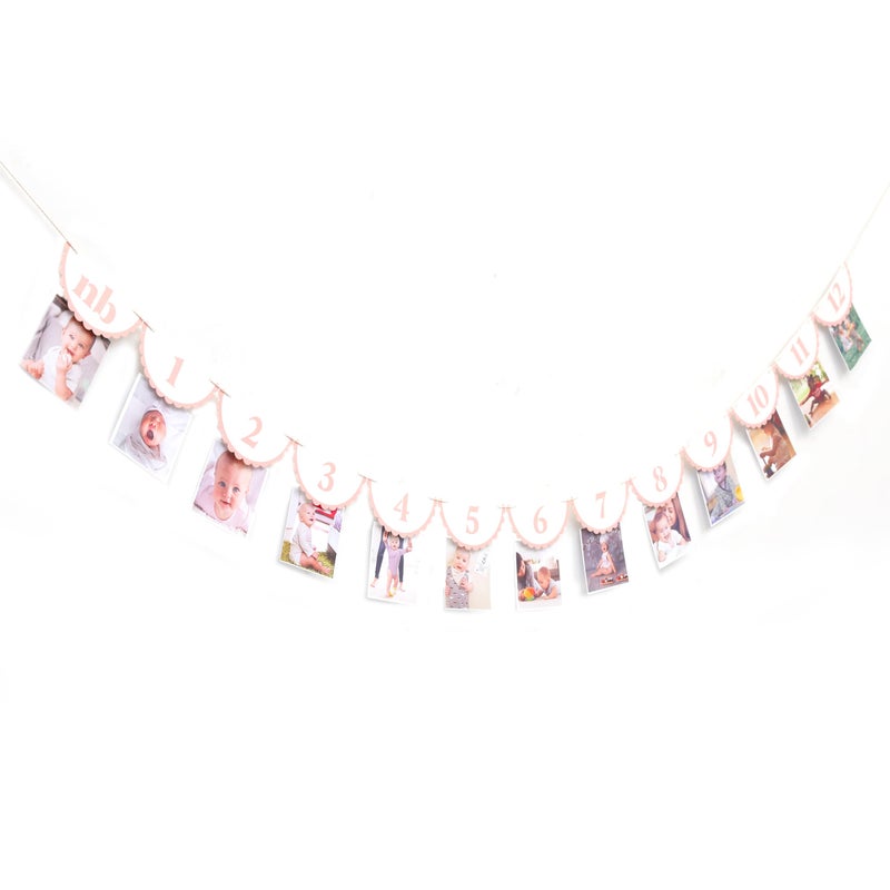 HIKLO Pink Monthly Milestone Photo Banner - Baby Girl First Year Photo Banner, Pink 1st Birthday Party Decoration for Girl, Newborn to 12 Months Photo Garland, Girl Birthday Cake Smash Photo Props Backdrop - Image 1