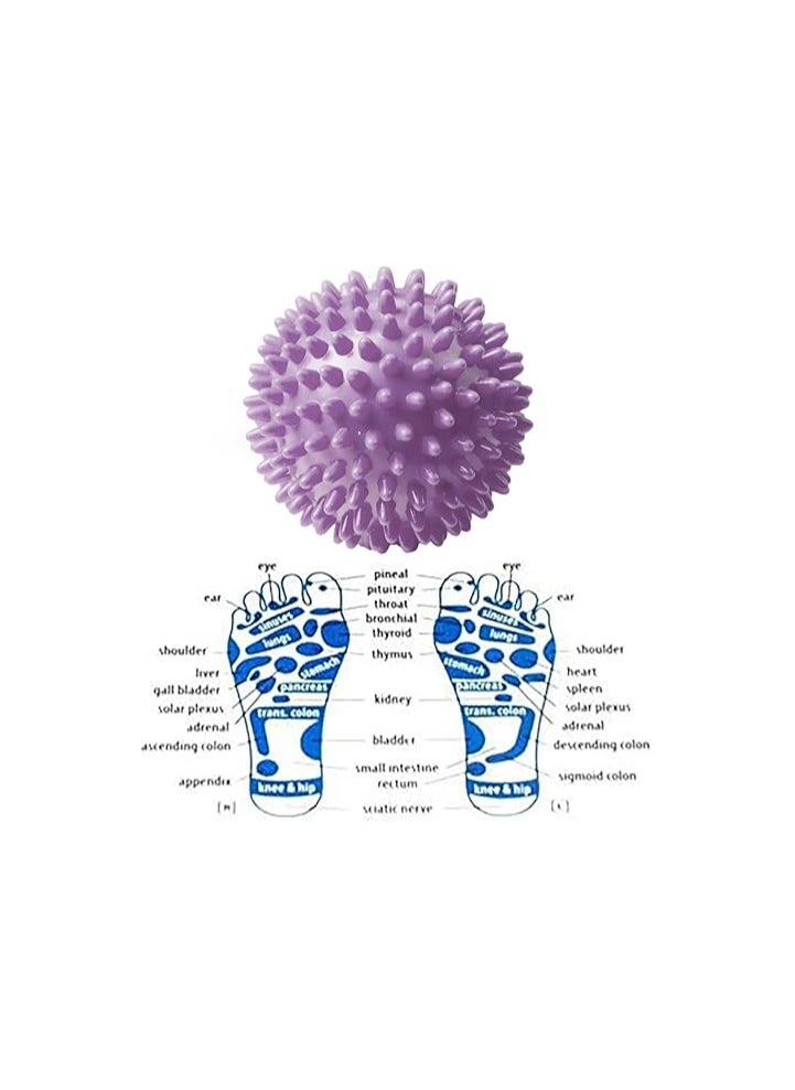 amazing.EGP THE PACK PVC Spiky Massage Ball Trigger Point Sport Fitness Hand Foot Pain Fitness Hand Massage Ball Portable Physiotherapy Ball (7.5CM, PURPLE)  - Image 2