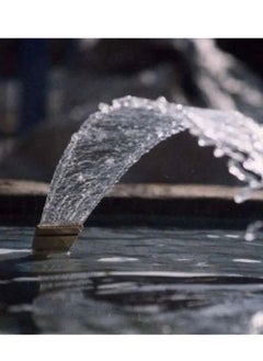 Radiant duckbill fountain head  - Image 1