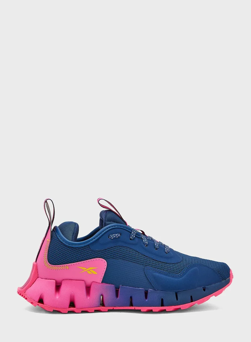 Reebok Zig Dynamica Adventure