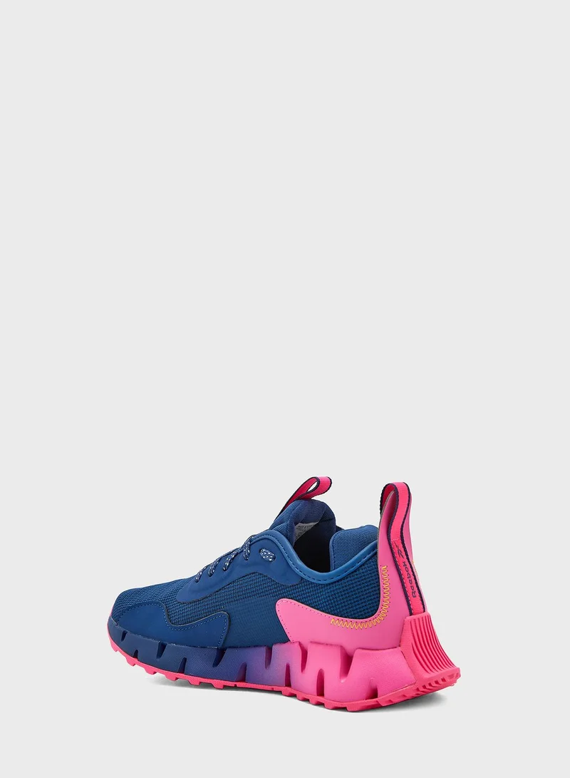 Reebok Zig Dynamica Adventure