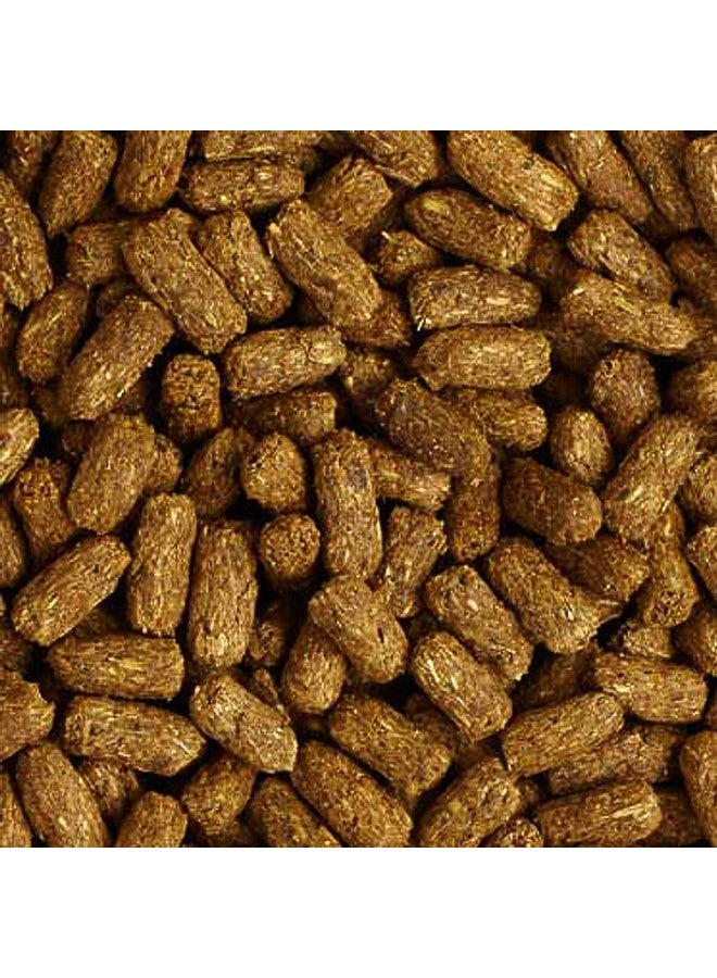 Mazuri | Tortoise Ls Diet For African Spurred/Sulcata, Desert, Egyptian, Galapagos, Gopher, Greek, Leopard, Pancake, Radiated Or YellowFooted Tortoise, | 12 Ounce (12 Oz) Bag - Image 3