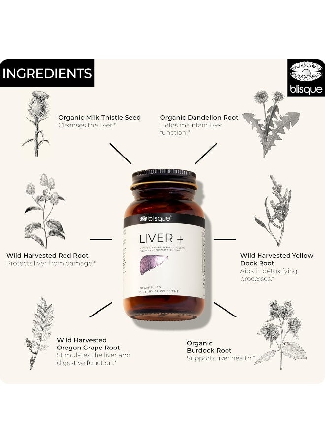 Blisque – Liver Complex Supplement to Detox, Cleanse, and Repair The Liver | Doctor-Approved | Natural Ingredients | Milk Thistle, Dandelion, and Burdock Root | 90 Capsule Pills - Image 5