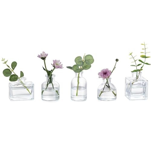 Glasseam Mini Glass Bud Vases Small Clear Vases for Centerpieces Cute Tiny Flower Vase Set of 5 for Flowers Modern Centerpiece Decor for Wedding Party Dining Room Decoration