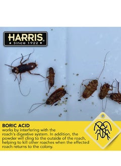 Harris Harris Boric Acid Roach Powder with Lure 453g  - Image 4