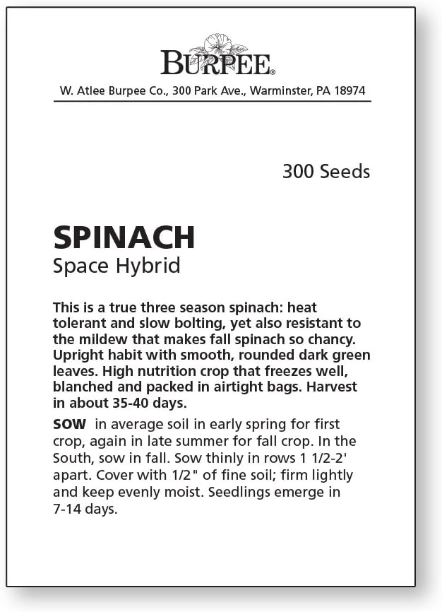 Burpee Space Hybrid Spinach Seeds 300 seeds - Image 2