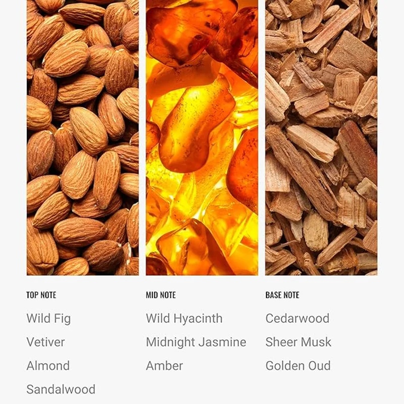 هوتيل كوليكشن Cascade Fragrance Oil Blend - Hotel Inspired for Luxury Essential Oil Diffusers - Aromatherapy Scent Diffuser Oil - Wild Fig, Almond, and Sandalwood- 50 mL, 1.7 fl oz