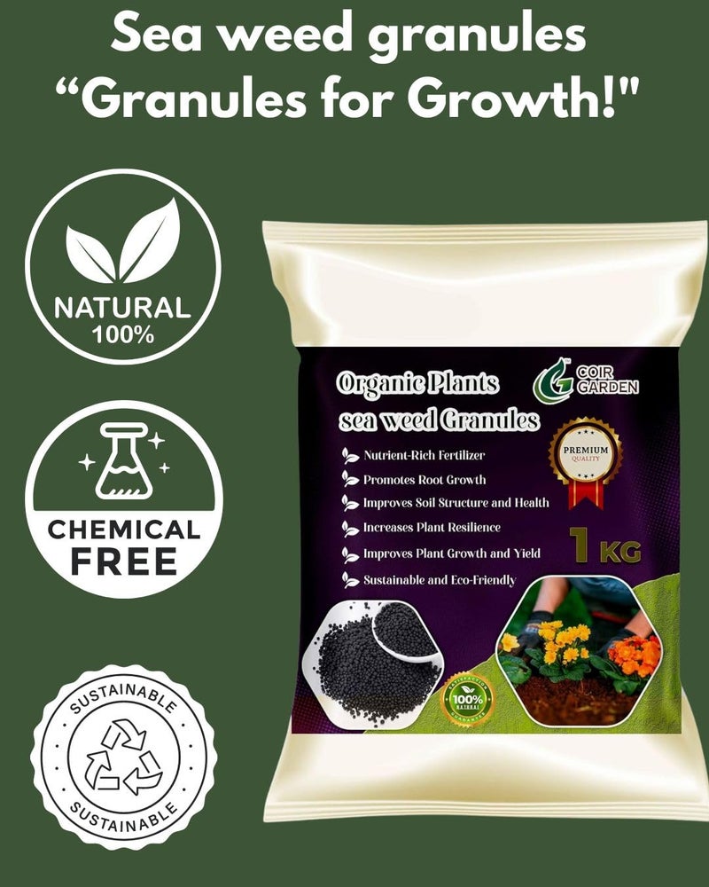 COIR GARDEN - SEA WEED EXTRACT GRANULES- SEA WEED FERTILIZER FOR PLANTS GROWTH PROMOTER - 5 KG - Image 2