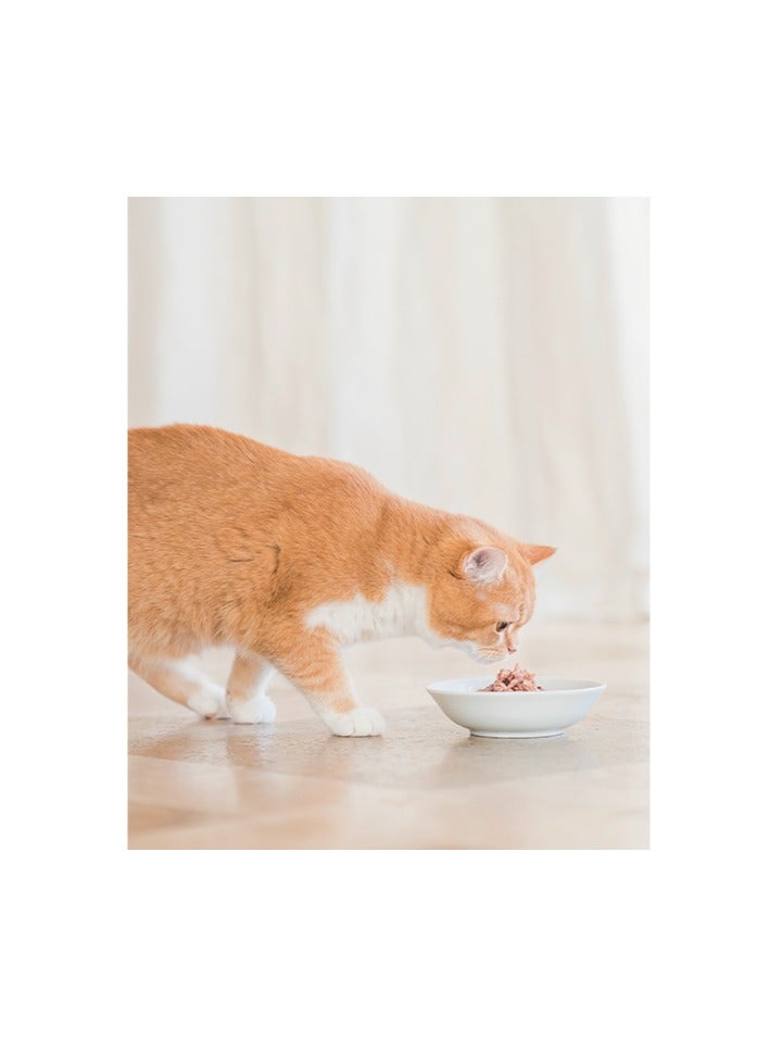 Schesir Kitten Care- Can In Jelly 3-12 Tuna with Aloe Wet Food 140g (Min Order - 6pcs) - Image 4