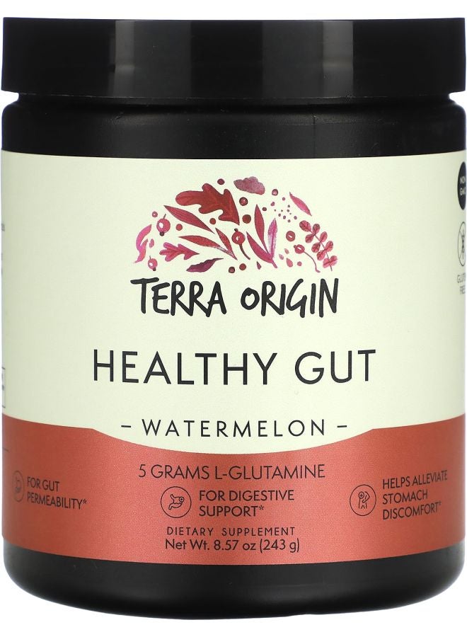 Terra Origin Healthy Gut Watermelon 8.57 oz (243 g)