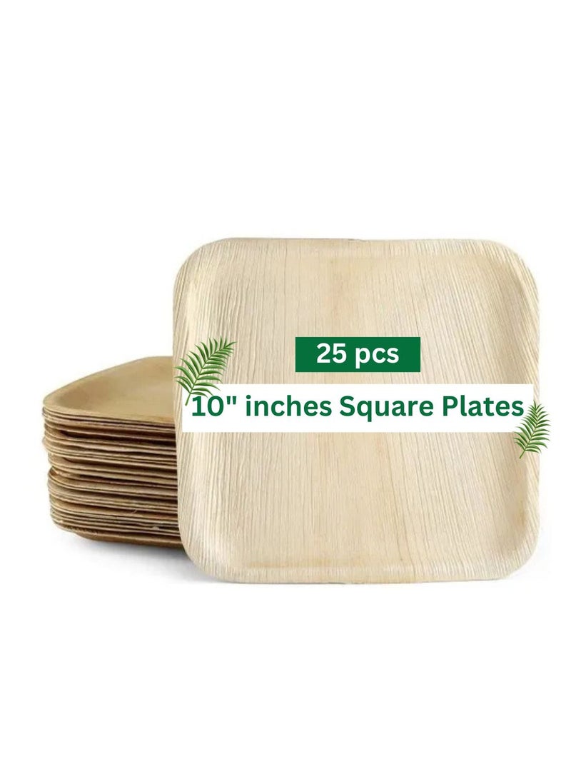 اريكا عبوة لوحات Piya's Planet Areca Leaf مقاس 10 بوصات مربعة من 25,100٪ قابلة للتحلل القابل للتسميد ، يمكن التخلص منها صديقة للبيئة قابلة للتحلل مثل ألواح خشب الخيزران ، والحفلات ، والزفاف ، وأطباق المناسبات ، والميكروويف والفرن الآمن  - Image 1