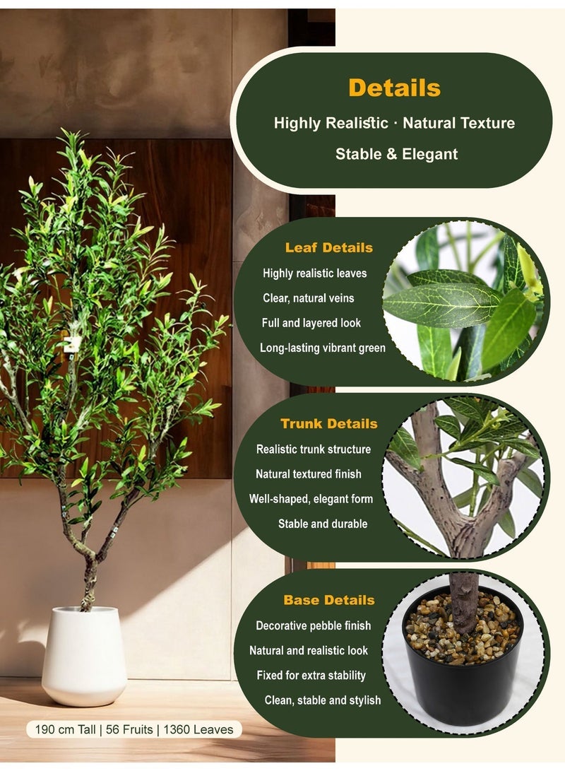 Artificial Olive Tree (190 cm) with Minimalist White Planter – Clean, Modern Style for Bright Interiors - Image 5