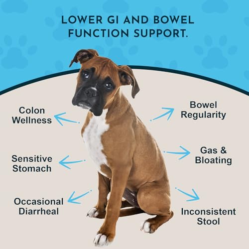 Animal Essentials Colon Rescue Powder - Herbal Digestive Aid for Dogs & Cats, Phytomucil, Healthy Gastrointestinal Tract, Certified Organic Herbs, No Preservatives, Glycerin-Based Formula - 1 Oz - Image 2