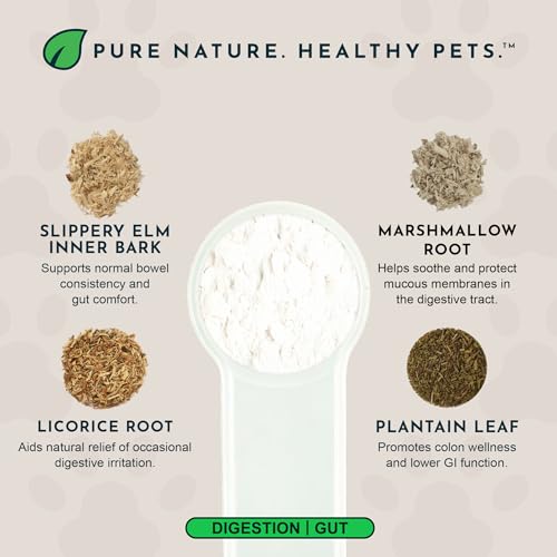 Animal Essentials Colon Rescue Powder - Herbal Digestive Aid for Dogs & Cats, Phytomucil, Healthy Gastrointestinal Tract, Certified Organic Herbs, No Preservatives, Glycerin-Based Formula - 1 Oz - Image 3