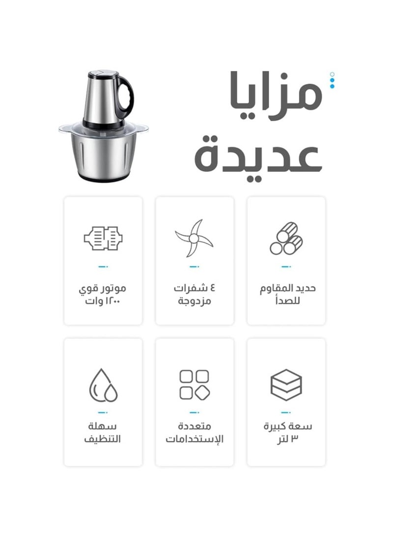 ماركة غير محددة - مطحنة اللحوم من سيتي، قطاعة اللحوم، قطاعة اللحوم، قطاعة اللحوم، مفرمة اللحوم القوية، خلاط قوي مع سكاكين، سعة كبيرة من الفولاذ المقاوم للصدأ، HMA (1014، 3 لتر) - Image 1