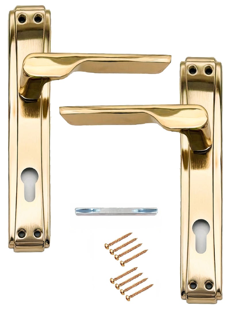 Pair Of Door Handles With Lock Slot Golden