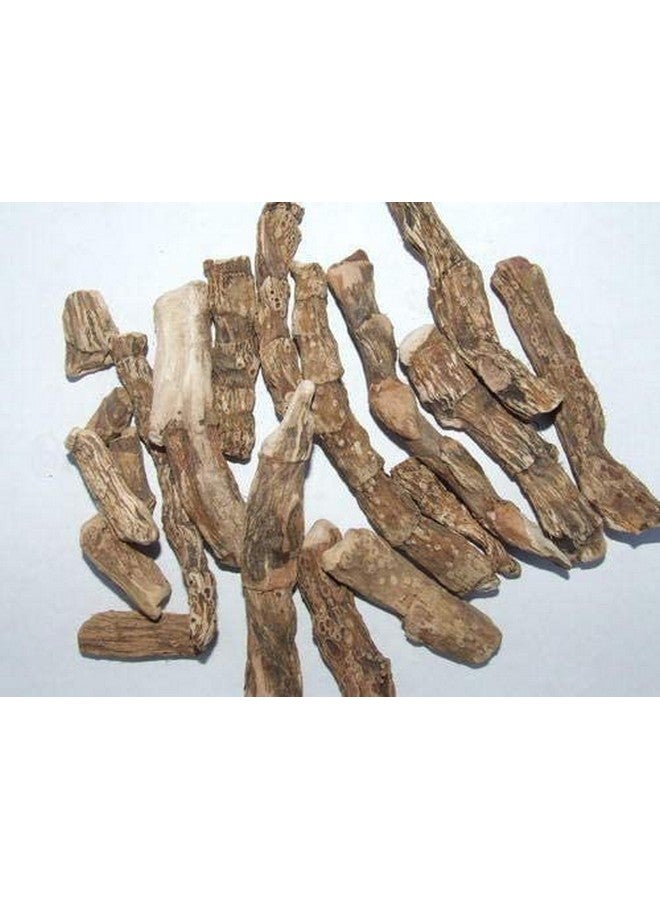 advancedestore أيورفيدا أكوروس كالموس - جذر العلم - فاسا - فايامبو - فاسامبو المجفف 100 جرام - معبأ بشكل فضفاض - Image 4