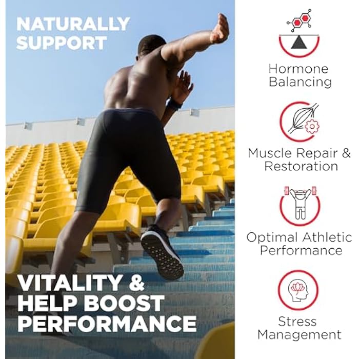 Nutrivein Premium Fadogia Agrestis and Tongkat Ali Supplement with Turkesterone - 1100 mg - 120 Caps - Synergistic Blend for Performance, Strength, & Recovery for Men & Women of All Ages - Image 4