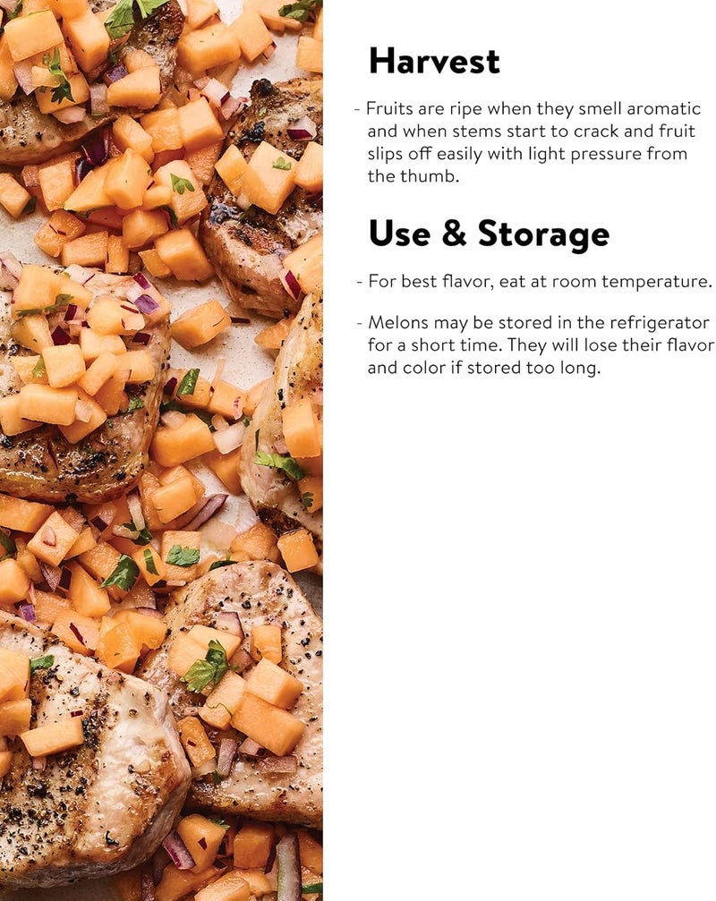 Burpee Ambrosia Cantaloupe Melon Seeds 30 seeds - Image 4