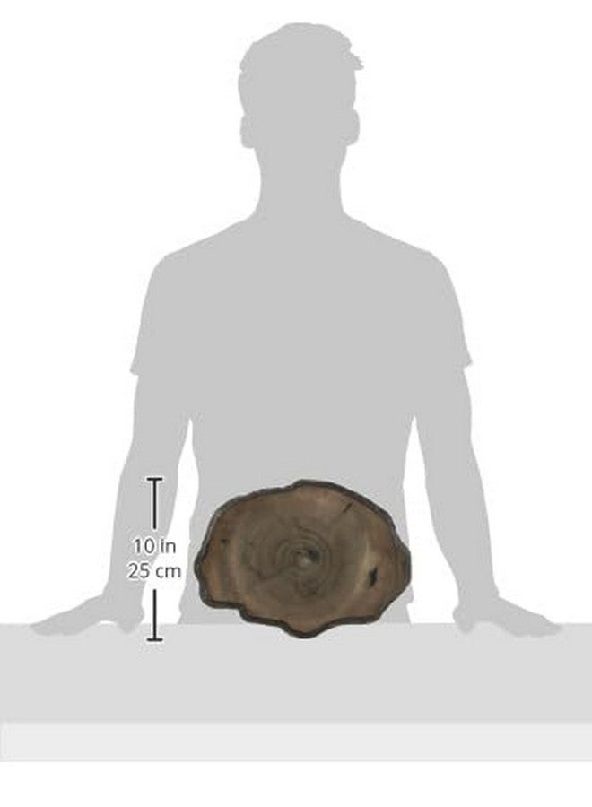 زوو ميد طبق طعام صخري للزواحف من زو ميد، كبير جدًا - Image 3