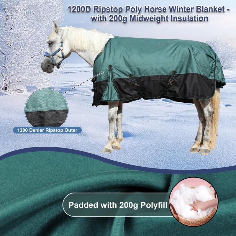 Gallopoff 1200D Ripstop Waterproof Breathable Horse Blanket (200g Fill), Medium Weight Warm Winter Turnout, Thermal Protection for Cold & Snow Greenblack 72" - Image 3