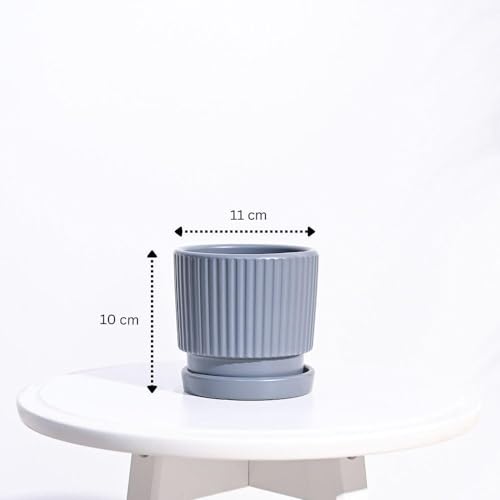 UGAOO Roma Ceramic Pot |Indoor Ceramic Planter for Home, Office, Garden, Balcony - Gray (4 Inch) - Image 4