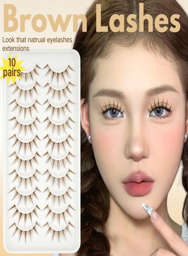 AUGENLI 10 Pairs Brown False Lashes Extension Tools Clear band Wispy Japanese Anime Cosplay Natural Makeup Looking Party Eye Lashes - Image 3