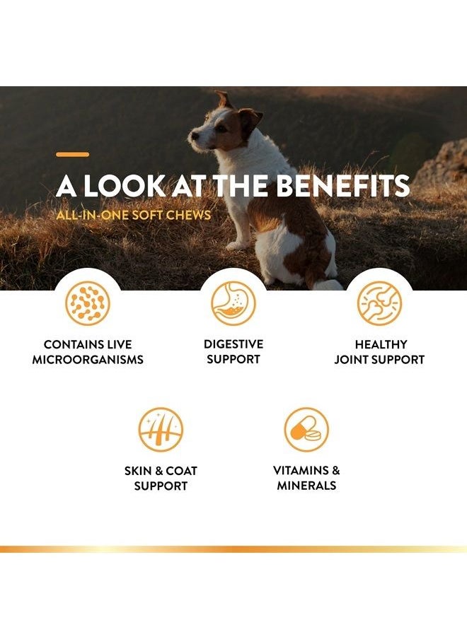 NaturVet - All-in-One Dog Supplement - for Joint Support, Digestion, Skin, Coat Care – Dog Multivitamins with Minerals, Omega-3, 6, 9 – Wheat-Free Vitamins for Dogs – 60 Soft Chews - Image 1