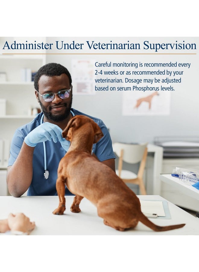 Rx Vitamins PhosBind  Kidney Support Supplement Powder  Phosphate Binder For Cats & Dogs For Kidney Health  Supports Normal Kidney Cleanse And Essential Kidney Care  200G  - Image 5
