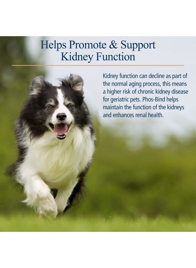 Rx Vitamins PhosBind  Kidney Support Supplement Powder  Phosphate Binder For Cats & Dogs For Kidney Health  Supports Normal Kidney Cleanse And Essential Kidney Care  200G  - Image 3