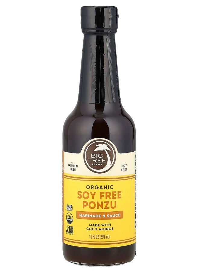 BIG TREE FARMS Organic Soy Free Ponzu Marinade & Sauce 10 fl oz (296 ml) 