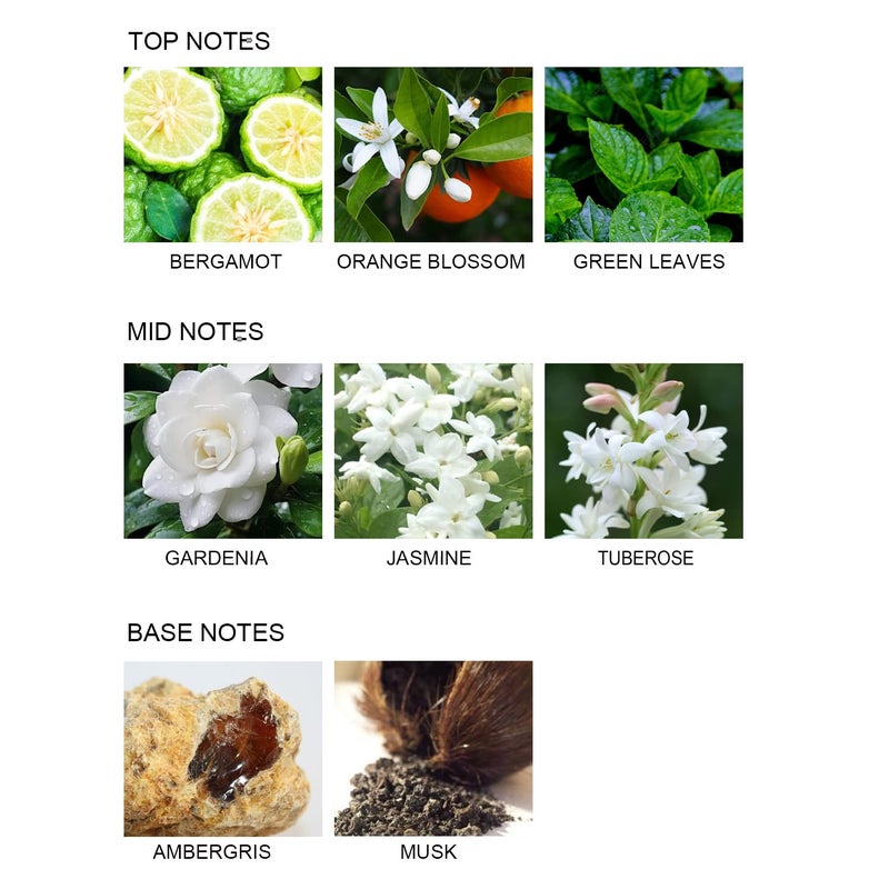 UCC Reed Diffuser Set  3.38 oz Gardenia in Blossom Premium Scented Diffuser with Flower Sticks Home Fragrance Reed Diffuser for Bathroom Shelf Decor - Image 3