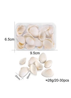 Natural Shell Conch DIY Jewelry Scenery Set White Shell