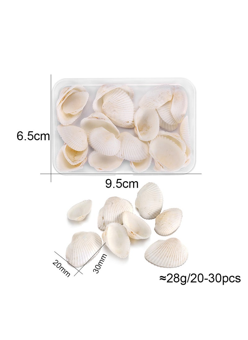 Generic - Natural Shell Conch DIY Jewelry Scenery Set White Shell - Image 1