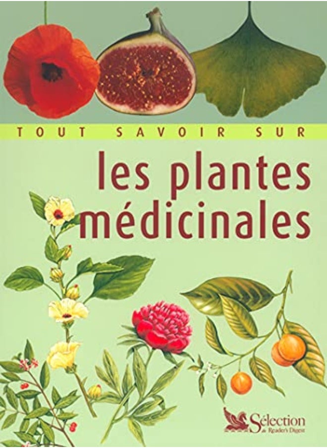 null - TOUT SAVOIR SUR LES PLANTES MEDICINALES - Image 1